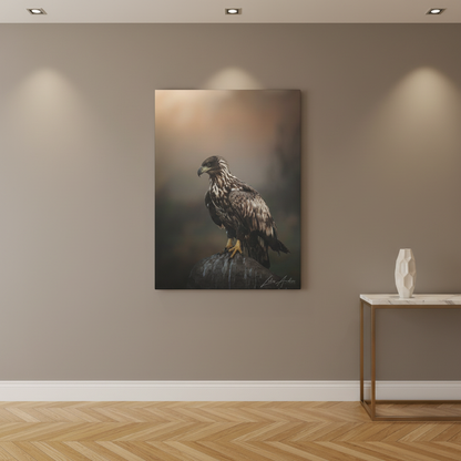 White‑Tailed Eagle Juvenile on Rock — By Photographer Lukas Andersen